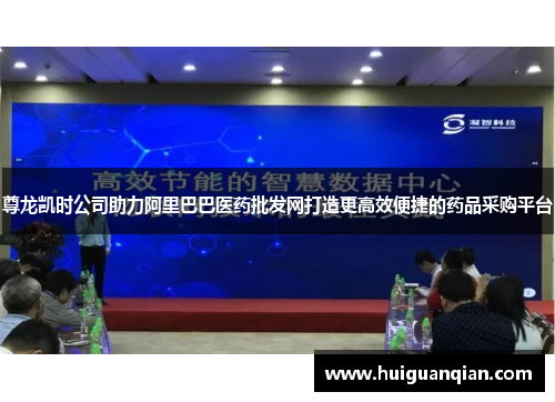 尊龙凯时公司助力阿里巴巴医药批发网打造更高效便捷的药品采购平台