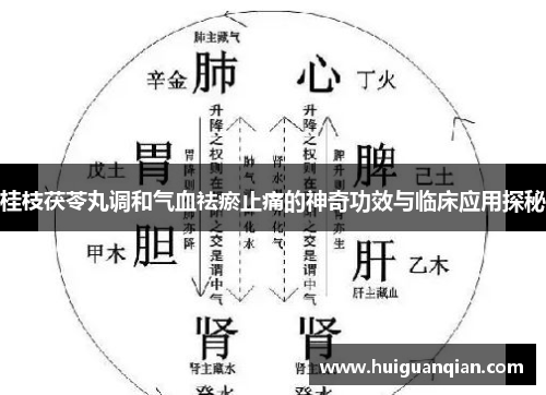 桂枝茯苓丸调和气血祛瘀止痛的神奇功效与临床应用探秘