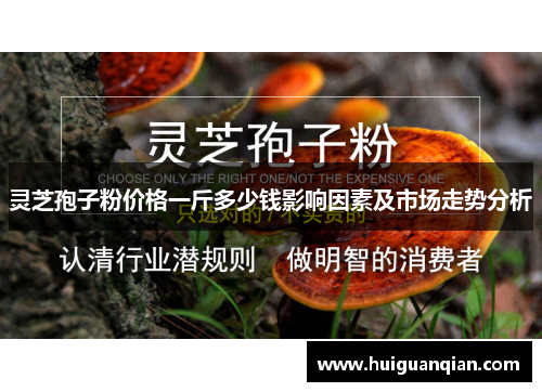 灵芝孢子粉价格一斤多少钱影响因素及市场走势分析