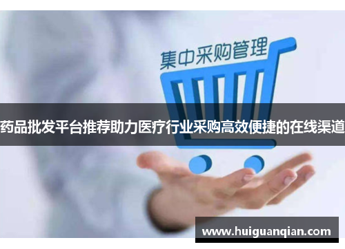 药品批发平台推荐助力医疗行业采购高效便捷的在线渠道