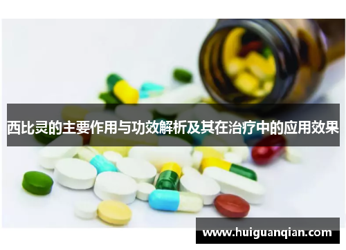西比灵的主要作用与功效解析及其在治疗中的应用效果