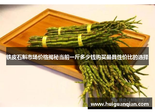 铁皮石斛市场价格揭秘当前一斤多少钱购买最具性价比的选择