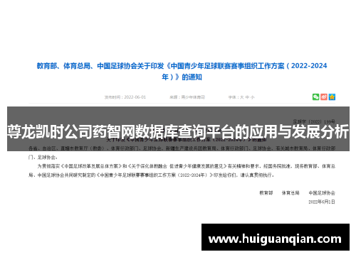 尊龙凯时公司药智网数据库查询平台的应用与发展分析