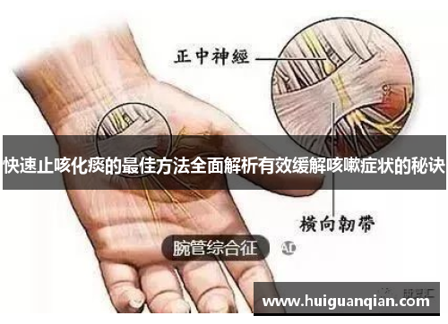 快速止咳化痰的最佳方法全面解析有效缓解咳嗽症状的秘诀